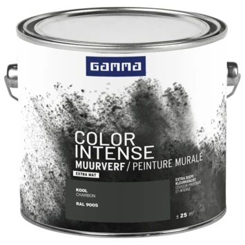 Gamma Color Intense Muurverf Extra Mat Kool 2,5 Liter - Afbeelding 2