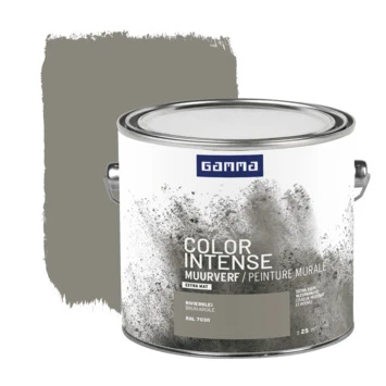 GAMMA Color Intense Muurverf Extra Mat 2,5 L Rivierklei